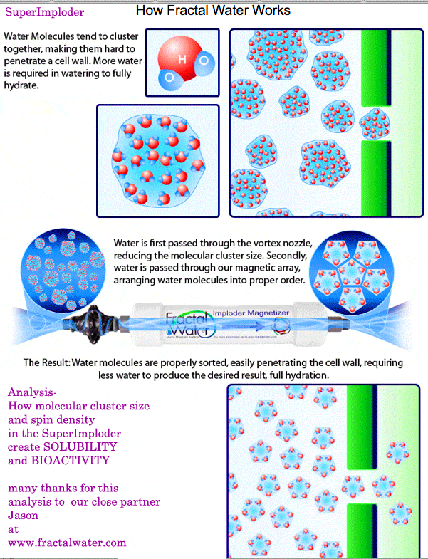 molecularsolubility