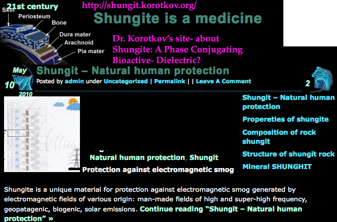 shungite